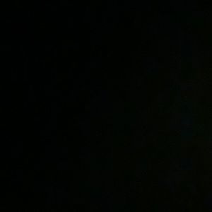 Meet your Posher, Gracie